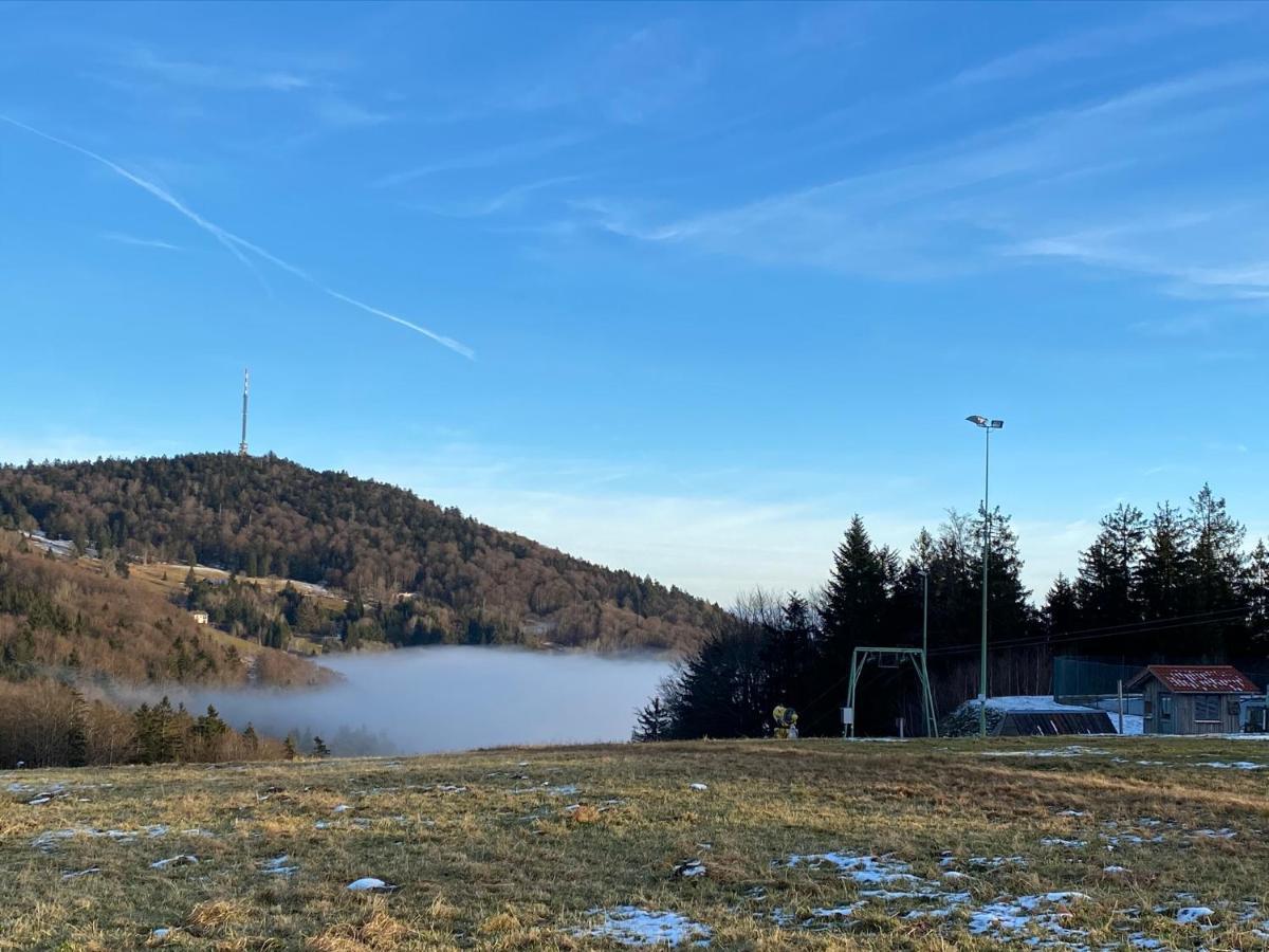 Mitten Im Bayerischen Wald-95M² Wohnung + *Netflix* Direkt Am Skilift! Schofweg Bagian luar foto