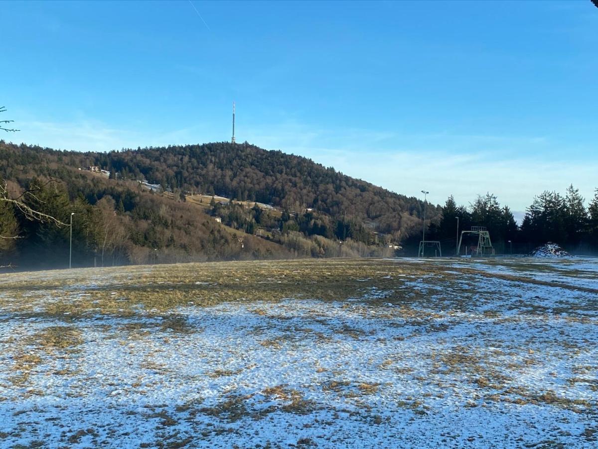 Mitten Im Bayerischen Wald-95M² Wohnung + *Netflix* Direkt Am Skilift! Schofweg Bagian luar foto