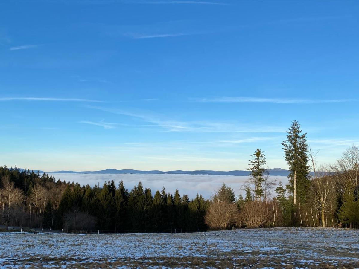 Mitten Im Bayerischen Wald-95M² Wohnung + *Netflix* Direkt Am Skilift! Schofweg Bagian luar foto