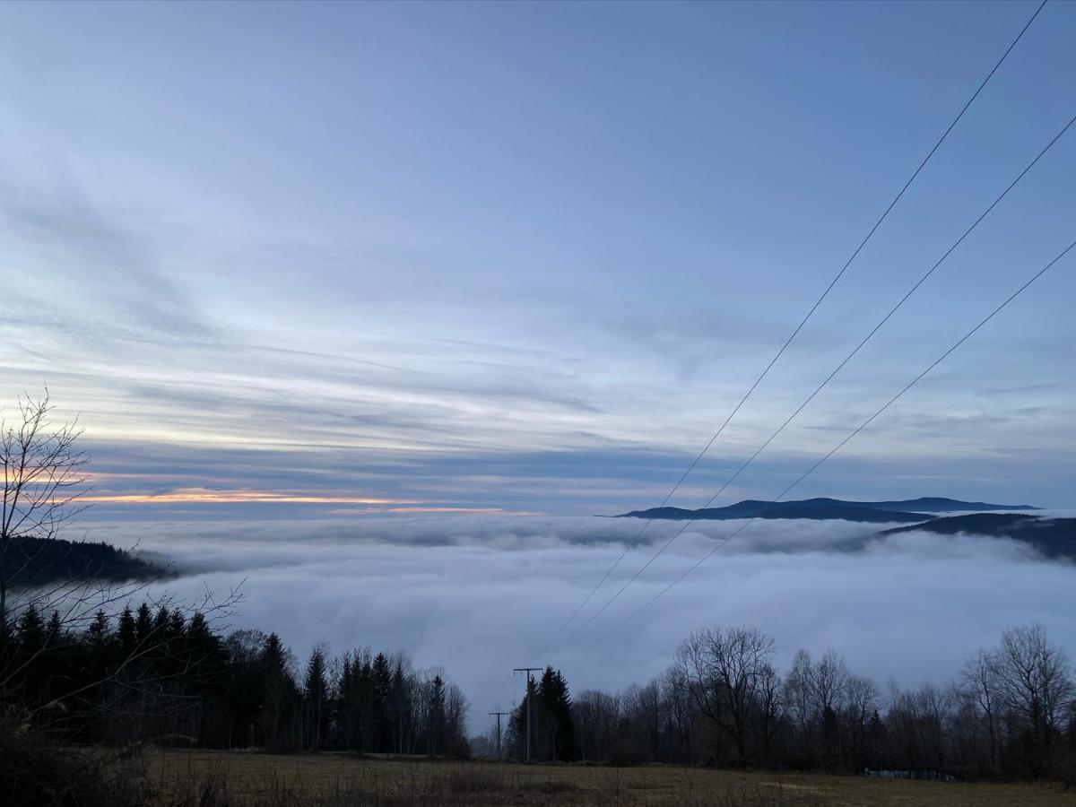 Mitten Im Bayerischen Wald-95M² Wohnung + *Netflix* Direkt Am Skilift! Schofweg Bagian luar foto
