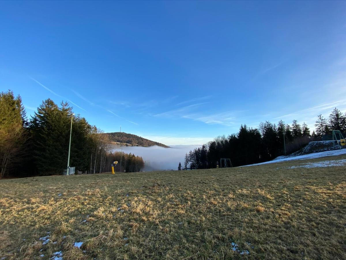 Mitten Im Bayerischen Wald-95M² Wohnung + *Netflix* Direkt Am Skilift! Schofweg Bagian luar foto