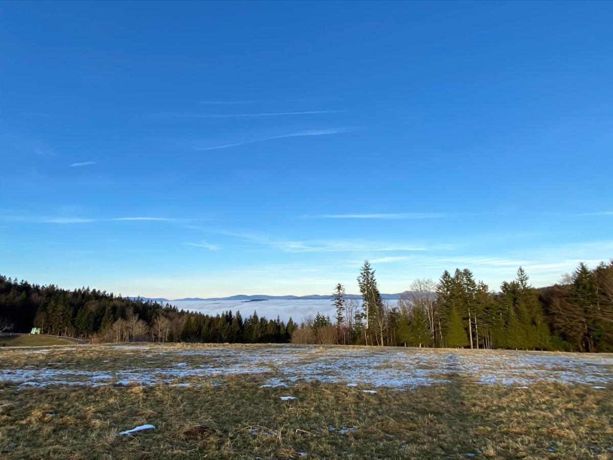 Mitten Im Bayerischen Wald-95M² Wohnung + *Netflix* Direkt Am Skilift! Schofweg Bagian luar foto