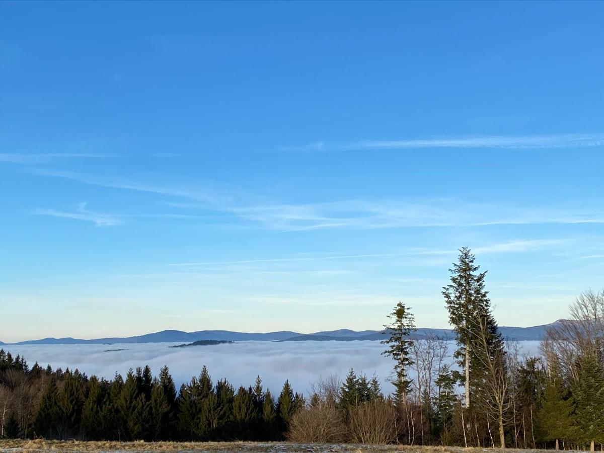 Mitten Im Bayerischen Wald-95M² Wohnung + *Netflix* Direkt Am Skilift! Schofweg Bagian luar foto